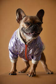 Metallic Lilac Bomber Jacket with Zipper OPERA