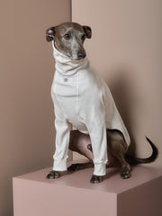Italian Greyhound / Whippet Cream Turtleneck Sweater COVE
