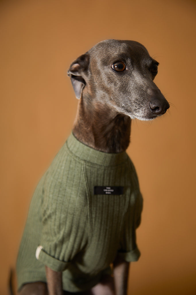 Italian Greyhound / Whippet Green Ribbed T-shirt CLAIRE