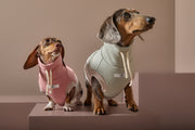 Dachshund Color-Block Turtleneck Vest SHEAR