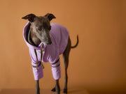 Italian Greyhound / Whippet Lilac Hoodie BRIE