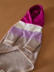 Color-blocked hoodie for dogs