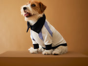 Tricolor Turtleneck Sweater EMILY