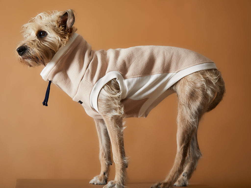 Sand Turtleneck Vest SOPHIE