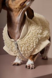 Dachshund Ivory Sherpa Vest MILAN