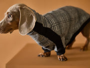 Dachshund Plaid Black and White Jacquard Turtleneck Sweater YVES