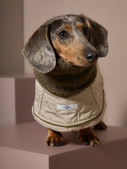 Dachshund Beige Turtleneck Coat FAWN