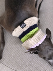 Bright Multicolored Striped Knit Scarf NICE