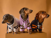 Dachshund Lilac Hoodie BRIE