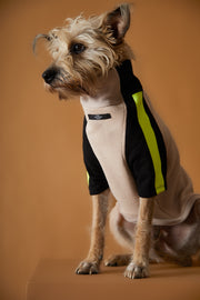 Turtleneck Sweater BELLE