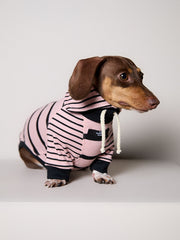 Dachshund Pink and Black Striped Sweater LINE