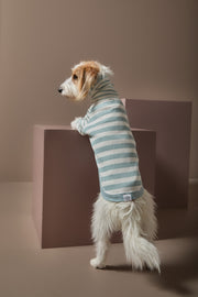 Turquoise and Cream Striped Turtleneck Sweater REED