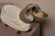 Dachshund Beige Turtleneck Coat FAWN