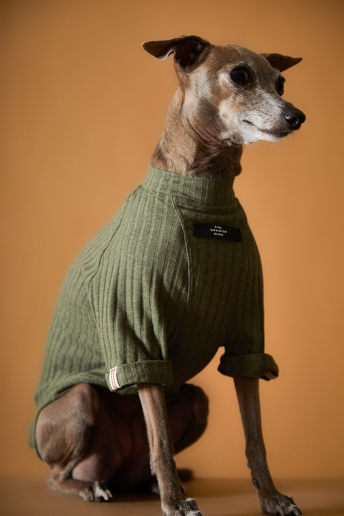 Italian Greyhound / Whippet Green Ribbed T-shirt CLAIRE