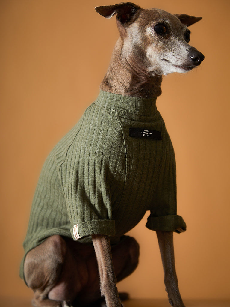 Italian Greyhound / Whippet Green Ribbed T-shirt CLAIRE