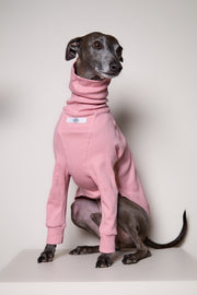 Italian Greyhound / Whippet Pink Ribbed Sweater with Patches MIST