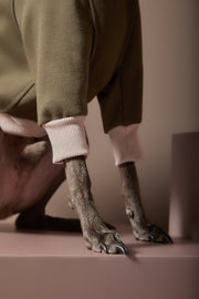 Italian Greyhound / Whippet Military Green Sweatshirt STONE