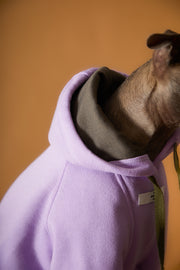 Italian Greyhound / Whippet Lilac Hoodie BRIE