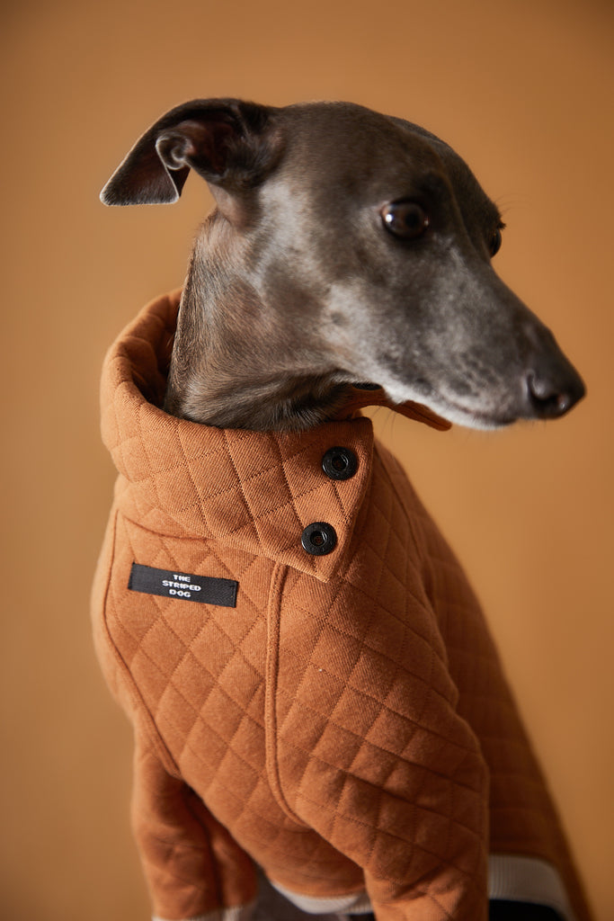 Italian Greyhound / Whippet Terracotta Quilted Turtleneck Sweater BAGUETTE