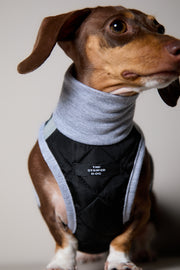 Dachshund Black Quilted Turtleneck Harness GADE
