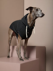 Italian Greyhound / Whippet Black Textured Hooded Vest BIRCH