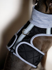 Italian Greyhound / Whippet Black Quilted Turtleneck Harness GADE