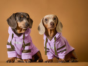Dachshund Lilac Hoodie BRIE