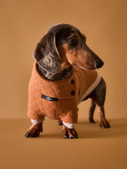 Dachshund Terracotta Quilted Turtleneck Sweater BAGUETTE