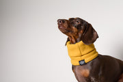 Yellow Fleece Ring Scarf CHILL