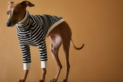 Italian Greyhound / Whippet Striped Turtleneck Sweater ELOISE