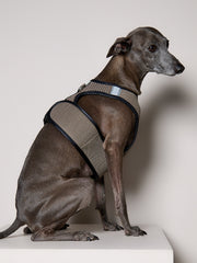 Italian Greyhound / Whippet Brown & Black Mesh Harness COBBLESTONE