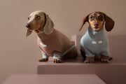 Dachshund Dust Blue Waffle Sweater GRAIN