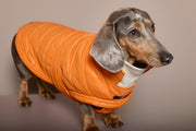 Dachshund Orange Puffer Turtleneck Jacket EMBER