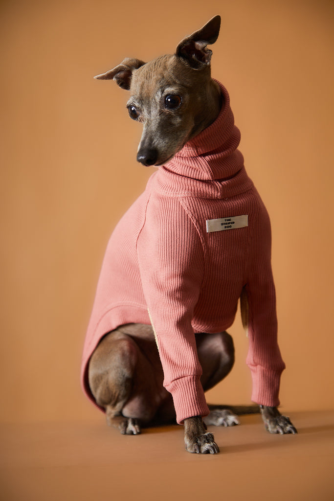 Italian Greyhound / Whippet Ribbed Turtleneck Sweater TULERIE