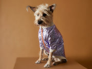 Metallic Lilac Bomber Jacket with Zipper OPERA