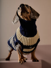 Dachshund Striped Knit Sweater KYRA