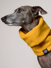 Yellow Fleece Ring Scarf CHILL