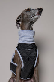 Italian Greyhound / Whippet Black Quilted Turtleneck Harness GADE