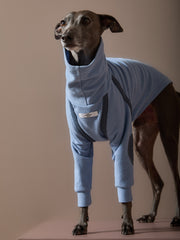 Italian Greyhound / Whippet Light Blue Turtleneck Sweater with Patches CAIRO