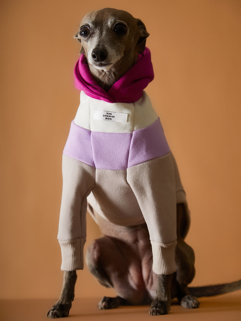 Italian Greyhound / Whippet Light Color-Blocked Hoodie MACARON