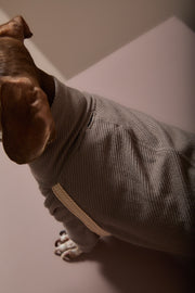 Dachshund Taupe Turtleneck Sweater CAIRO