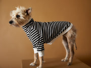 Striped Turtleneck Sweater ELOISE