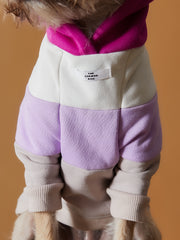 Color-blocked hoodie for dogs