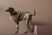 Italian Greyhound / Whippet Military Green Sweatshirt STONE