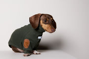 Dachshund Olive Green Ribbed Sweater with Patches MIST