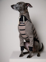 Italian Greyhound / Whippet Taupe and Black Striped Sweater LINE