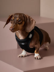 Black Neoprene Harness DRIFT