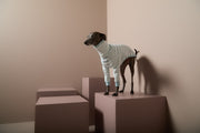 Italian Greyhound / Whippet Turquoise and Cream Striped Turtleneck Sweater REED