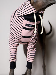 Italian Greyhound / Whippet Pink and Black Striped Sweater LINE