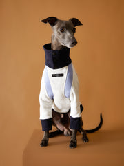 Italian Greyhound / Whippet Tricolor Turtleneck Sweater EMILY